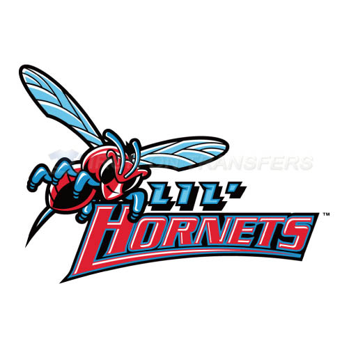 Delaware State Hornets Logo T-shirts Iron On Transfers N4246